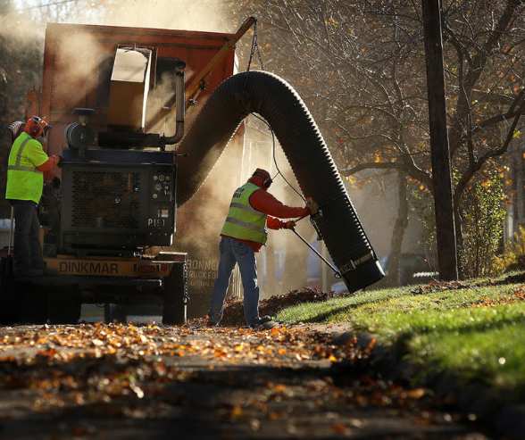 Curb Leaf Collection